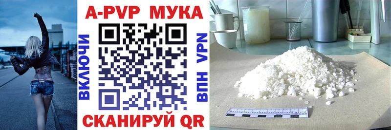 kraken   Салават  APVP СК 