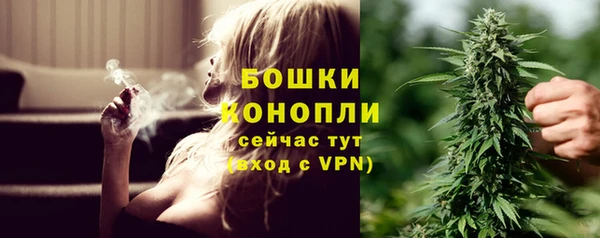 стаф Вязьма