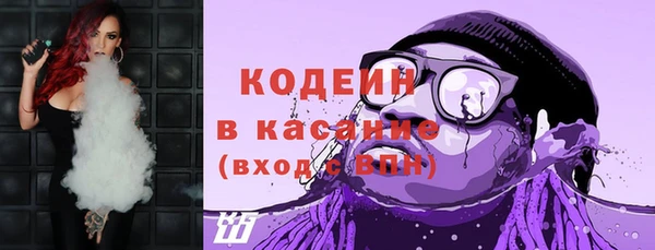 стаф Вязьма