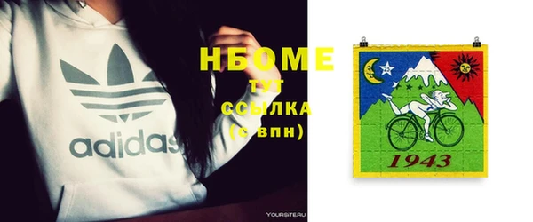 стаф Вязьма