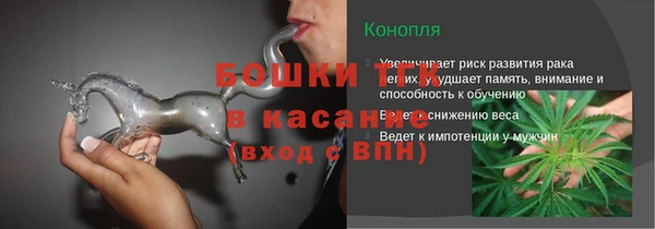 стаф Вязьма