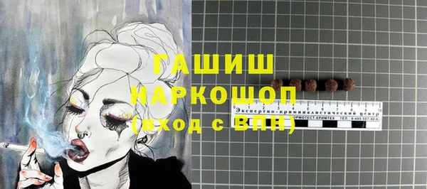 стаф Вязьма