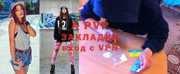 стаф Вязьма