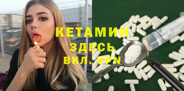 стаф Вязьма