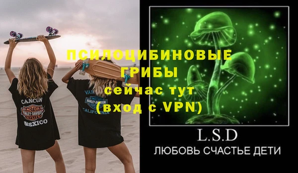 стаф Вязьма